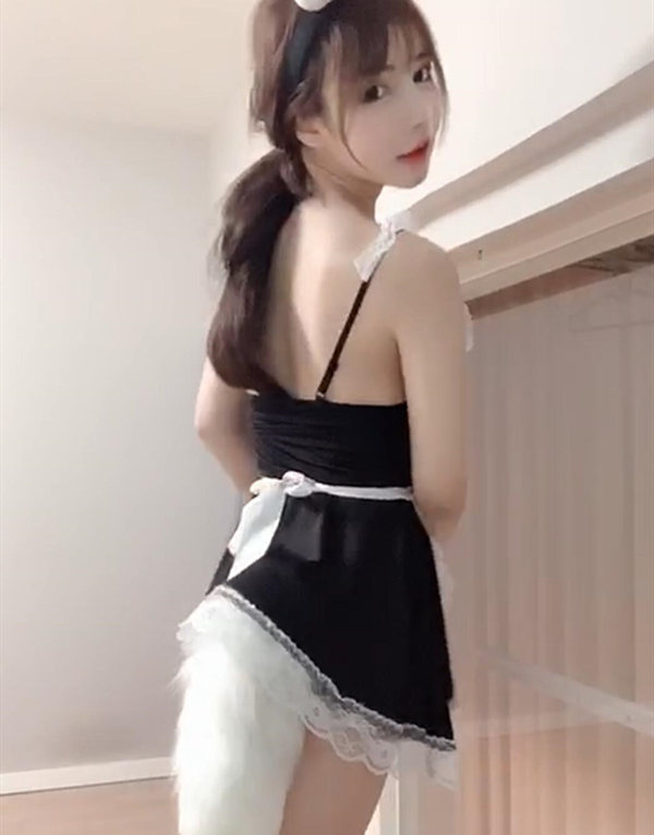 新加坡伴游大学生