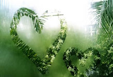 首尔哪里有外围女